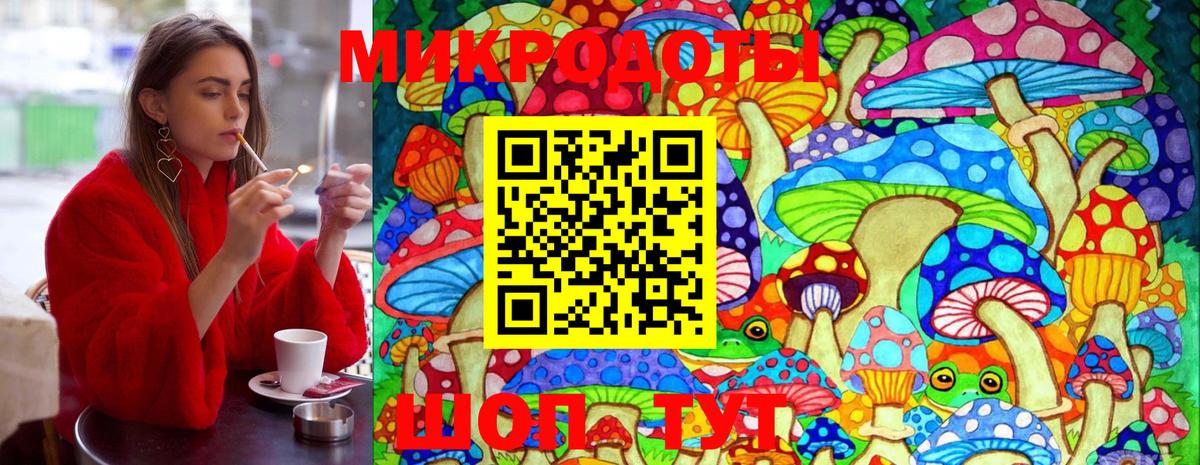 Лесной  Галлюциногенные грибы Magic Shrooms  Псилоцибиновые грибы Psilocybine cubensis  Вход с VPN 